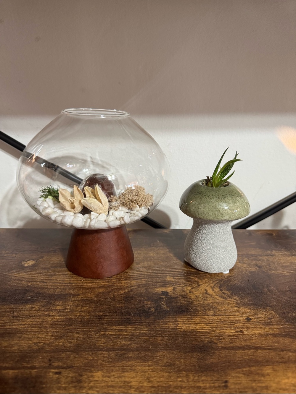 Glass Terrarium- Mushroom Air Plant Holder w/ 4 live plants
